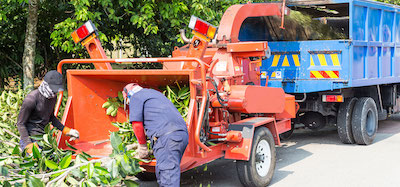 tree service in Brookhaven